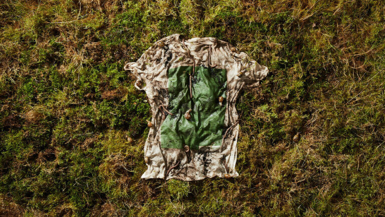 Algaeing: Pioneering Biodegradable Algae Textiles Revolutionizing the Fashion Industry